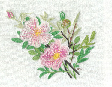 embroidery digitizing images